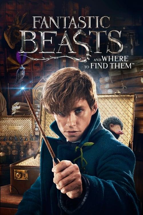 Fantastiniai gyvūnai ir kur juos rasti filmas online