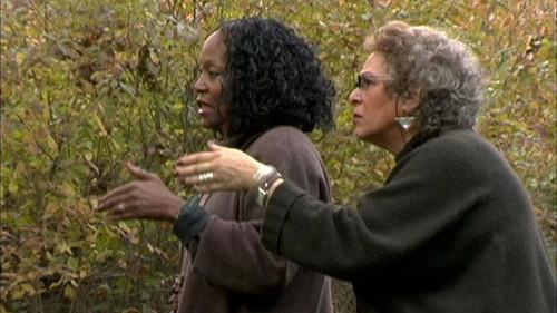 Symbiopsychotaxiplasm: Take 2½ filmas žiurėti online