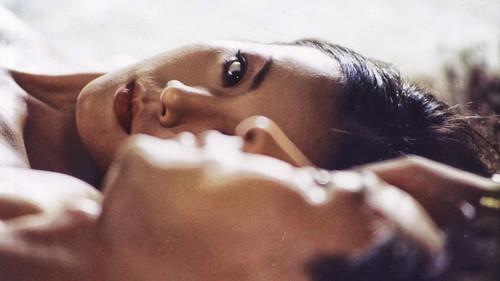 Days of Roses filmas žiurėti online