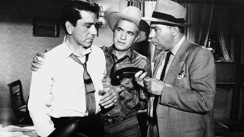 The Brothers Rico filmas žiurėti online