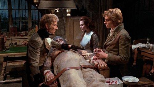 Frankenstein and the Monster from Hell filmas žiurėti online
