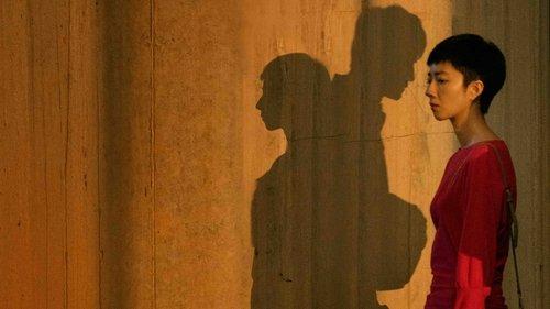 The Wild Goose Lake filmas žiurėti online