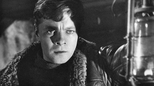 Two Captains filmas žiurėti online