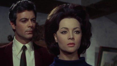 The Woman from Beirut filmas žiurėti online