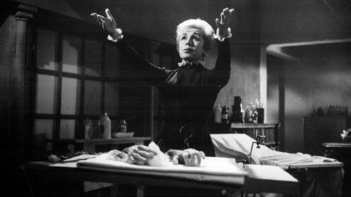 The Witch's Mirror filmas žiurėti online