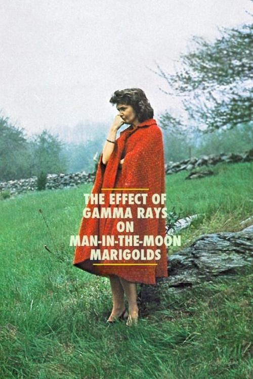 The Effect of Gamma Rays on Man-in-the-Moon Marigolds filmas online