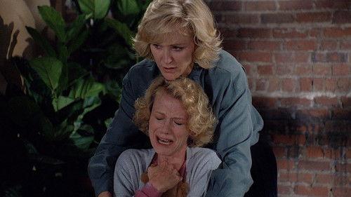 Not in My Family filmas žiurėti online