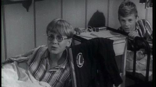 Stompa, selvfølgelig! filmas žiurėti online