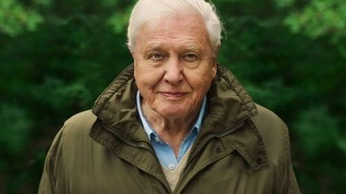 David Attenborough: A Life on Our Planet filmas žiurėti online