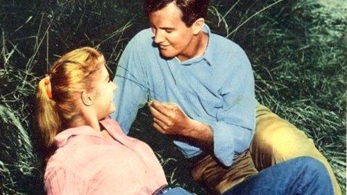 April Love filmas žiurėti online