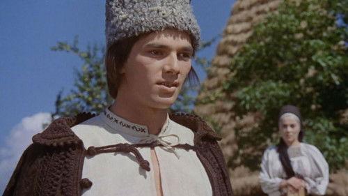 Tinerețe fără bătrânețe filmas žiurėti online