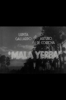 Mala yerba filmas online
