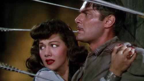 Gypsy Wildcat filmas žiurėti online