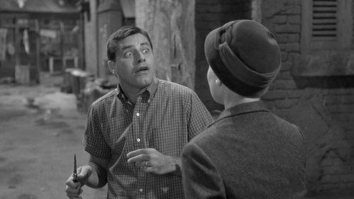 The Delicate Delinquent filmas žiurėti online