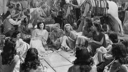 Flame of Araby filmas žiurėti online