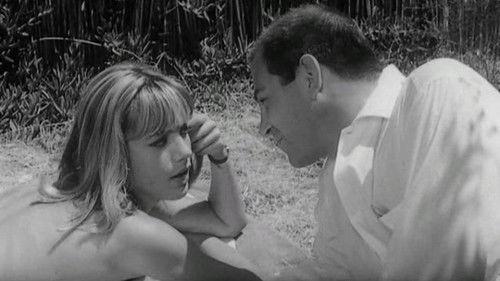 Sex Can Be Difficult filmas žiurėti online