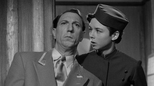 Fools in the Mountains filmas žiurėti online