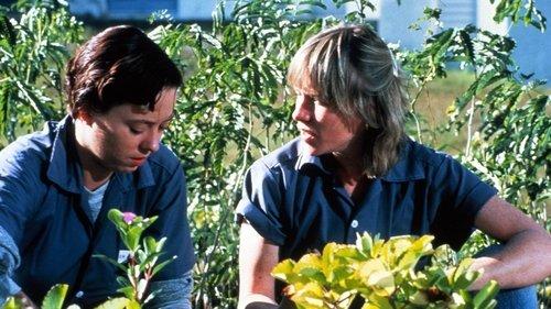 Love Child filmas žiurėti online