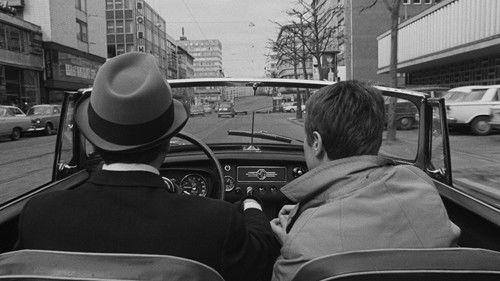 Call Girls of Frankfurt filmas žiurėti online