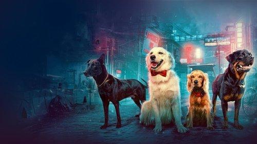 Valatty filmas žiurėti online