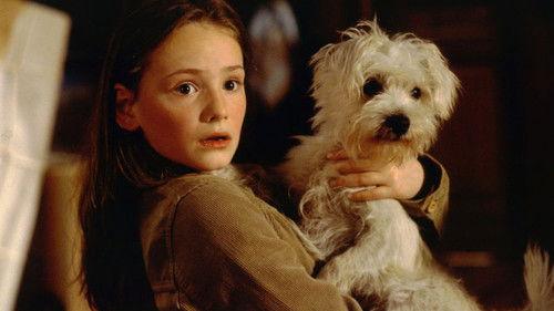 Mein Bruder ist ein Hund filmas žiurėti online