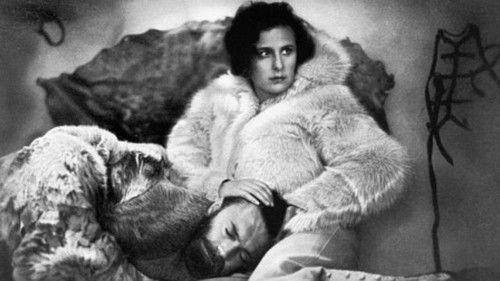 S.O.S. Iceberg filmas žiurėti online