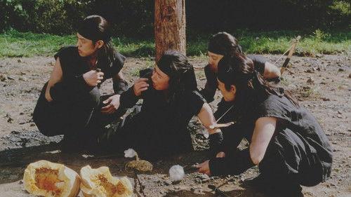 Romantic Warriors filmas žiurėti online