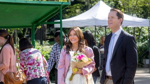 The Convenient Groom filmas žiurėti online