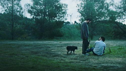 Remains of the Wind filmas žiurėti online