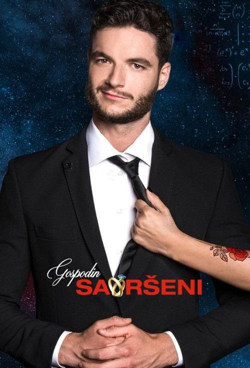 Gospodin Savršeni filmas online