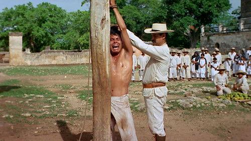 La casta divina filmas žiurėti online