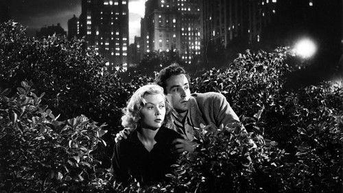 The Glass Wall filmas žiurėti online