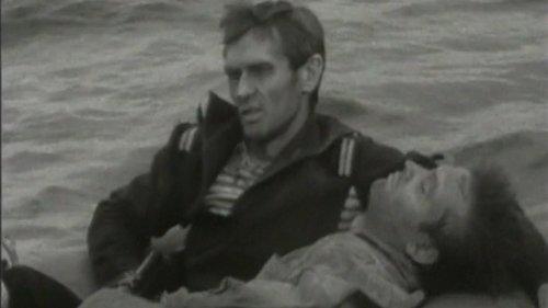 Attention Tsunami!! filmas žiurėti online