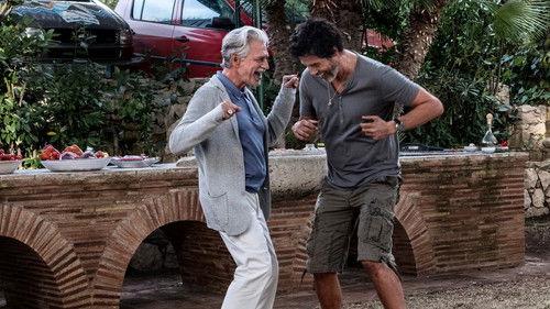 An Almost Ordinary Summer filmas žiurėti online