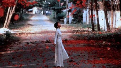 Ba Mùa filmas žiurėti online