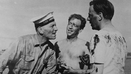 Yangtse Incident: The Story of H.M.S. Amethyst filmas žiurėti online