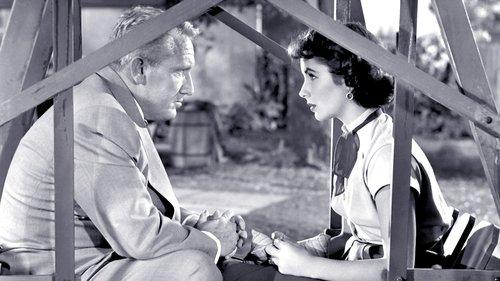 Father's Little Dividend filmas žiurėti online