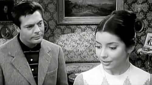 Everyone's in Love filmas žiurėti online