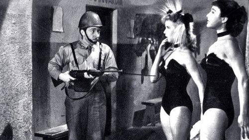 Beauties on bicycles filmas žiurėti online