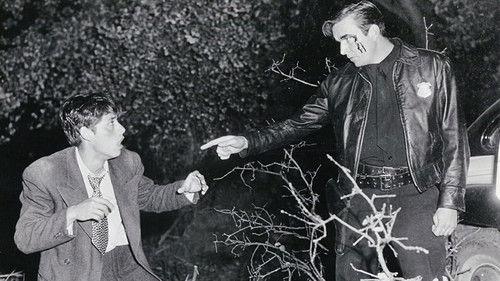 The Lawless filmas žiurėti online