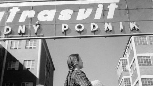 Katka filmas žiurėti online