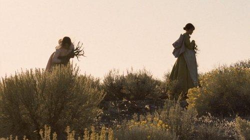 Meek's Cutoff filmas žiurėti online