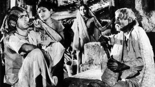 Two Acres of Land filmas žiurėti online