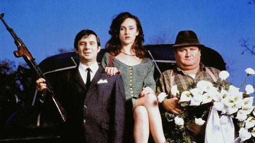 No More Mr. Nice Guy filmas žiurėti online