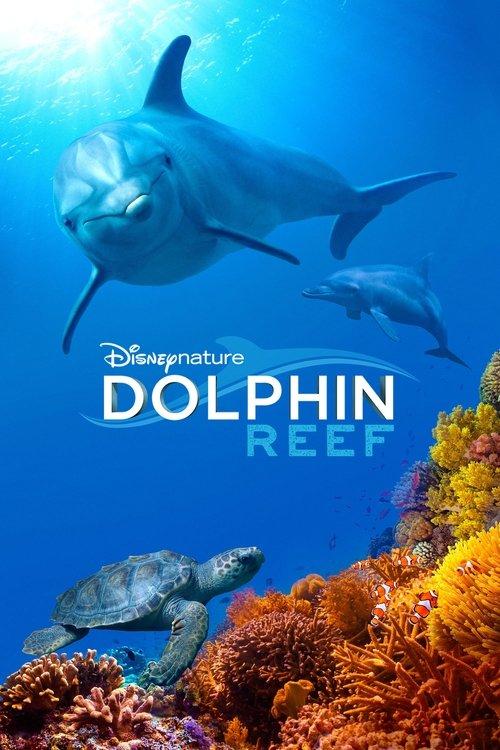 Dolphin Reef filmas online