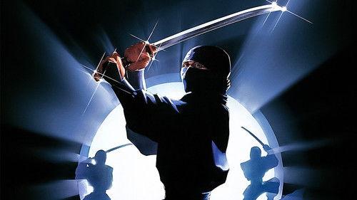 The Ninja Mission filmas žiurėti online