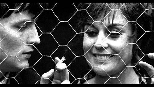 La busca filmas žiurėti online