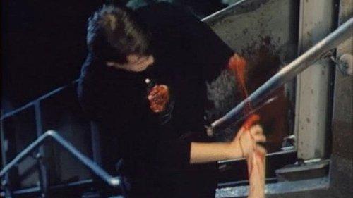 Heartstopper filmas žiurėti online