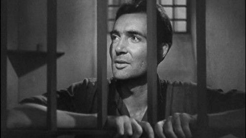 The Testimony filmas žiurėti online