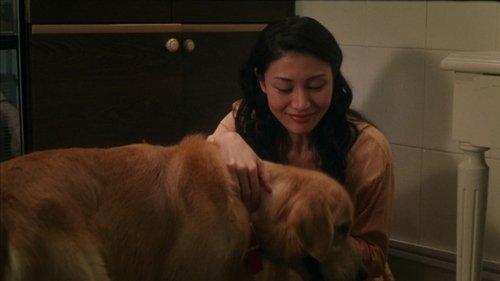 Every Dog Has His Date filmas žiurėti online